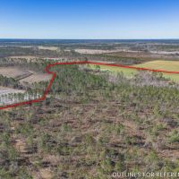 97.63 Acres in Hazlehurst GA images 5