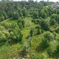 122.74 acres of Recreational and Residential Land For Sale in Currituck County NC images 5