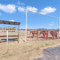 Texas Ranch Horse Property for Sale Lindale TX East of Dallas images 2