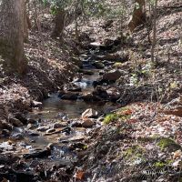 - 28.77 Acres on Old Hundred Road