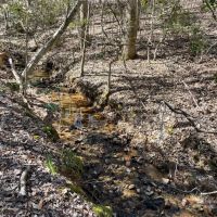 - 28.77 Acres on Old Hundred Road images 2
