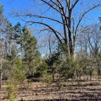 - 28.77 Acres on Old Hundred Road images 3