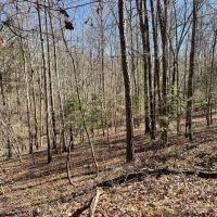 - 28.77 Acres on Old Hundred Road images 4
