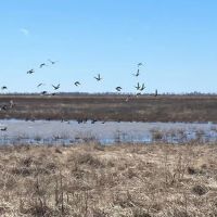 668 - Waterfowl club New Madrid Missouri