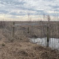668 - Waterfowl club New Madrid Missouri images 3