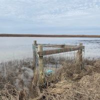 668 - Waterfowl club New Madrid Missouri images 5