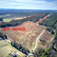 43 - Acres of Prime Farmland in Bartow County