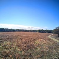 43 - Acres of Prime Farmland in Bartow County images 3