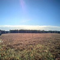 43 - Acres of Prime Farmland in Bartow County images 4
