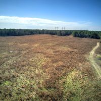 43 - Acres of Prime Farmland in Bartow County images 5