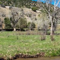 Navajo River Confluence images 5