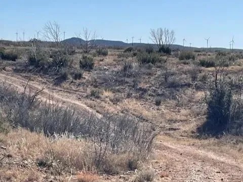 New Listing 100 Acres Taylor County featured image
