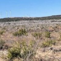 New Listing 100 Acres Taylor County images 3