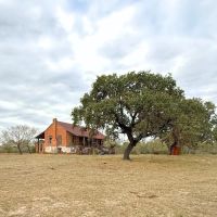 POTEET Tract 5 13 Acres Only 15K Down images 4