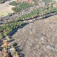 113 Acres Hwy 37 T-6 Kiskadee images 2