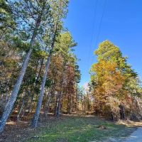 113 Acres Hwy 37 T-6 Kiskadee images 4