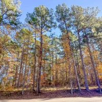 113 Acres Hwy 37 T-6 Kiskadee images 5
