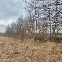 Rock Island county 44.98 acre WRP hunting tract images 4