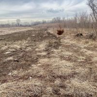Rock Island county 44.98 acre WRP hunting tract images 5