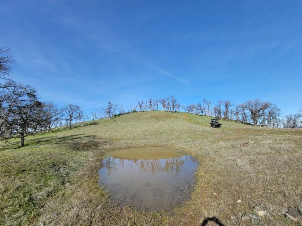 Lake County Ranch featured image