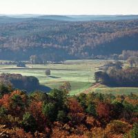 392,567 Acres Talladega National Forest for Deer Hunting in Bibb, AL