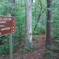 392,567 Acres Talladega National Forest for Deer Hunting in Bibb, AL images 2