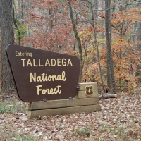392,567 Acres Talladega National Forest for Deer Hunting in Bibb, AL images 3
