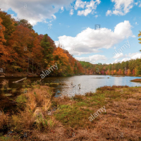 392,567 Acres Talladega National Forest for Deer Hunting in Bibb, AL images 4