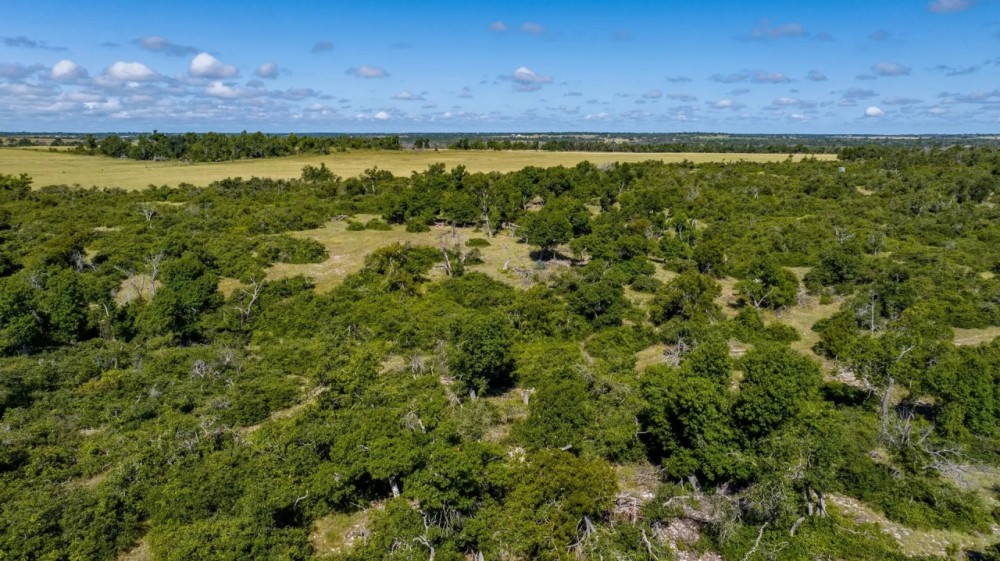 875 Gypsum Mine Road featured image
