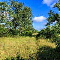 875 Gypsum Mine Road images 3