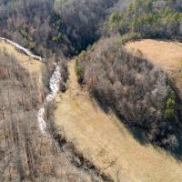 309-Acre Estate and Land for Sale in Waynesboro TN images 5