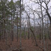 31.5 ACRES MOUNTAIN PROPERTY images 5
