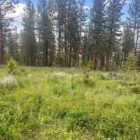 Antelope Mountain Property images 2