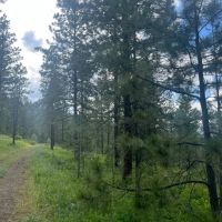 Antelope Mountain Property images 4