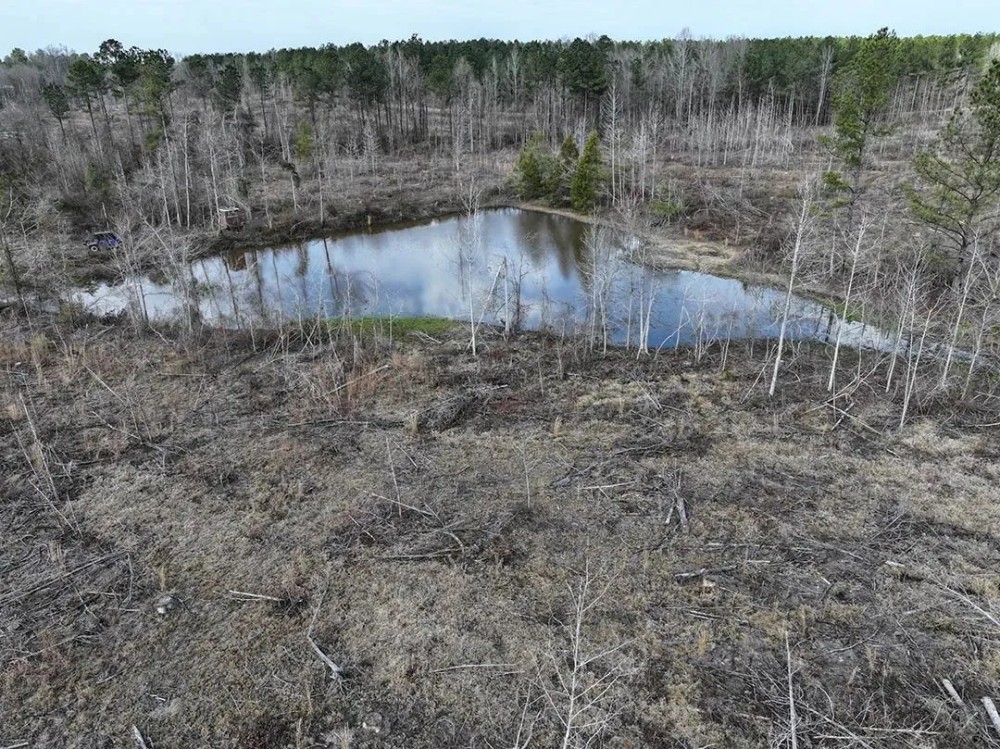 53 Acres in Kemper County MS featured image