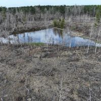 53 Acres in Kemper County MS