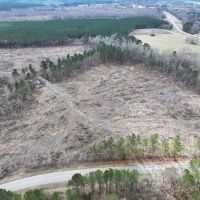 53 Acres in Kemper County MS images 2