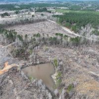 53 Acres in Kemper County MS images 3