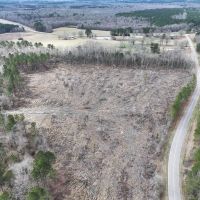 53 Acres in Kemper County MS images 4