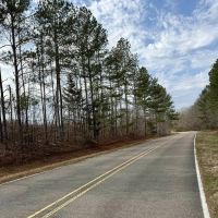 53 Acres in Kemper County MS images 5