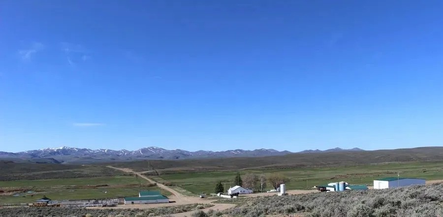 Bell Brand Ranch featured image
