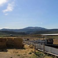 Bell Brand Ranch images 2