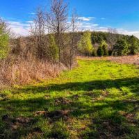 Hilseweck Ranch images 4