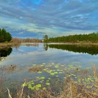 101 Acres in Ben Hill County GA