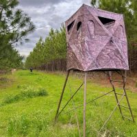 101 Acres in Ben Hill County GA images 2