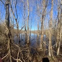 French Fork Tract LaSalle Parish 158 Acres - images 2