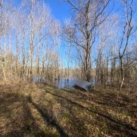 French Fork Tract LaSalle Parish 158 Acres - images 3
