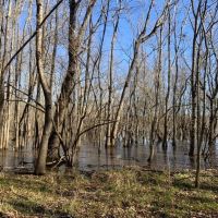 French Fork Tract LaSalle Parish 158 Acres - images 5