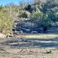 Meador Ranch images 3