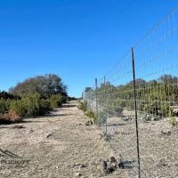 Meador Ranch images 5